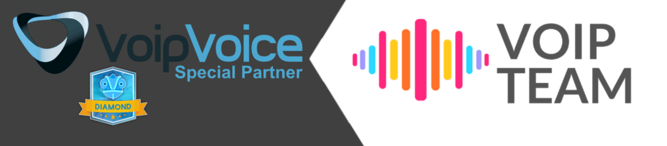 VoipVoice Partner
